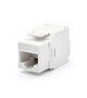 WP WPC-KEY-6UP-TL/W Conector RJ45 Blanco Cat6 ABS