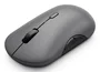 Lenovo 700 Multi-Device Wireless Silent Mouse Gris
