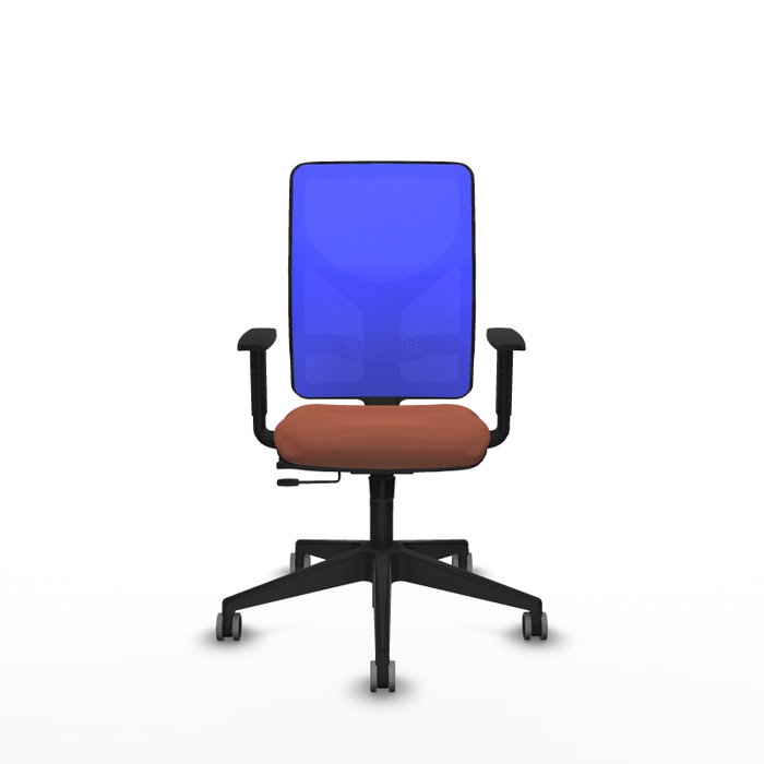 PIQUERAS Y CRESPO Silla de oficina Motilla con mecanismo Sincro/Traslack, Azul y Marrón PIQUERAS Y CRESPO Silla de oficina Motilla con mecanismo Sincro/Traslack, Azul y Marrón