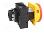EATON ELECTRIC Interruptor de levas principal P1-25/EA/SVB/N 25A OFF-ON
