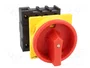 EATON ELECTRIC Interruptor de levas principal P1-25/EA/SVB/N 25A OFF-ON