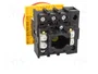 EATON ELECTRIC Interruptor de levas principal P1-25/EA/SVB/N 25A OFF-ON