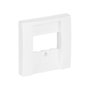 BUSCH-JAEGER BJ 2539-914 Zentralscheibe aws Busch-balance SI
