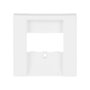 BUSCH-JAEGER BJ 2539-914 Zentralscheibe aws Busch-balance SI