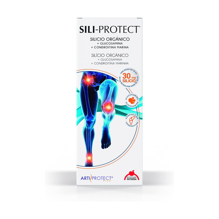 INTERSA Sili-Protect 500 ml