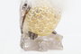 DKD Home Decor Figura Búho en Resina Surtida de 2 Unidades
