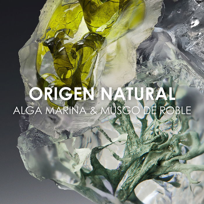 Issey Miyake Le Sel D'Issey Eau De Toilette Vaporizador 50 ml Hombre Issey Miyake Le Sel D'Issey Eau De Toilette Vaporizador 50 ml Hombre