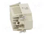 LAPP Conector HDC EPIC H-DD Macho de 42 Pines