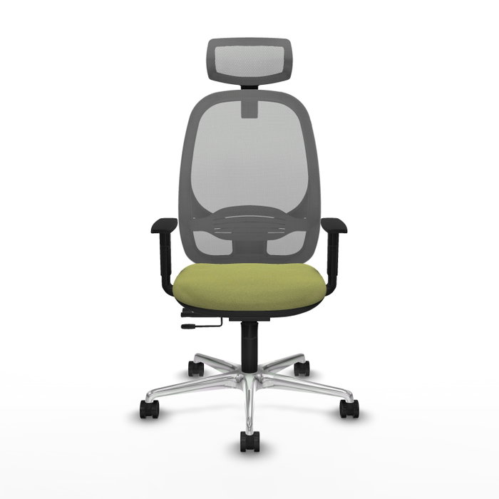 PIQUERAS Y CRESPO Silla de oficina Cilanco con mecanismo Sincro/Traslack Verde oliva y Gris