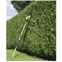 Fieldmann Cortasetos Eléctrico FZN 6005-E 450 W 46 cm Mango Telescópico 190-250 cm
