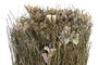 DKD Home Decor Bouquet Shabby Natural Flor Seca 12 x 30 x 12 cm (12 Unidades)