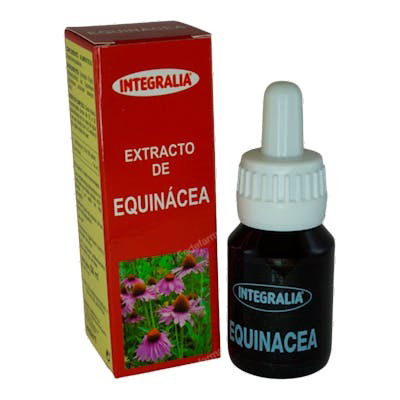 Equinacea Extracto Equinacea Extracto