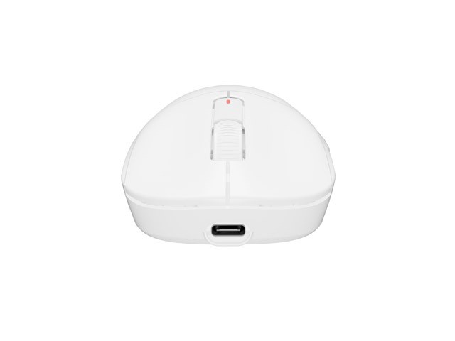 Fury Tanto T4 Wireless Teclado Polaco USB Blanco