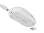 Fury Tanto T4 Wireless Teclado Polaco USB Blanco