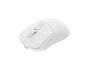 Fury Tanto T4 Wireless Teclado Polaco USB Blanco