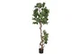 DKD Home Decor Árbol de Parra Verde en Poliéster