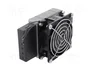 STEGO Elemento calefactor con soplador de 100W IP20