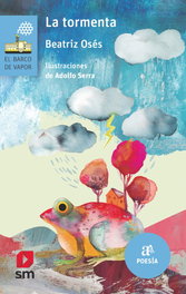 SM, La tormenta, Beatriz Osés García - SM