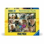 Ravensburger Rompecabezas de 1000 piezas Buscando una pieza