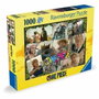 Ravensburger Rompecabezas de 1000 piezas Buscando una pieza