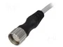 MURRELEKTRONIK Cable para sensores M23 hembra recto 5m 12 pines
