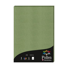 Papel Clairefontaine Pollen A4 120G 50H Verde Salvia
