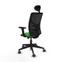 PIQUERAS Y CRESPO Silla de oficina Motilla con mecanismo Sincro/Traslack, Verde y Negro