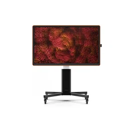 Ctouch Canvas 65 pulg. Regal Orange Inglass Optically Bonded Touch