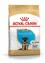 Royal Canin Pastor Alemán / German Shepherd Puppy 12kg
