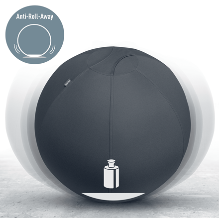 Leitz Balón de asiento Active Ergo 55 cm Gris oscuro antideslizante