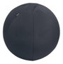 Leitz Balón de asiento Active Ergo 55 cm Gris oscuro antideslizante