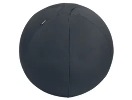 LEITZ Silla de Balón Active Ergo Ø55cm Gris Oscuro