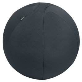 LEITZ ACTIVE ERGO Silla de Balón 55 cm Gris Oscuro Antideslizante