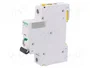 SCHNEIDER ELECTRIC Interruptor magnetotérmico iC60N 63A 1P Característica B