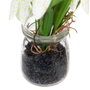 Ixia Planta Blanca Artificial de Decoración 7 x 7 x 20 cm (Pack de 4)
