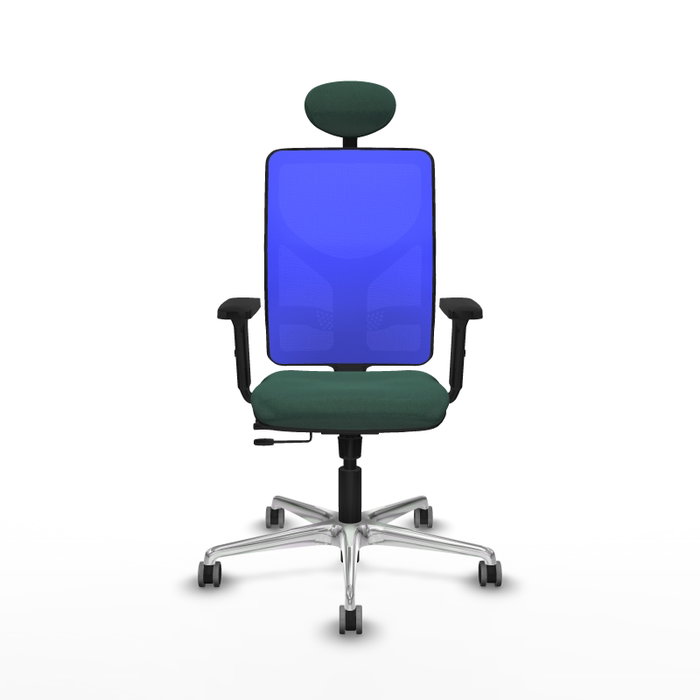 PIQUERAS Y CRESPO Silla de oficina Motilla con mecanismo Sincro/Traslack Verde botella y Azul