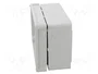 SEZ DK Carcasa Universal IP66 Gris