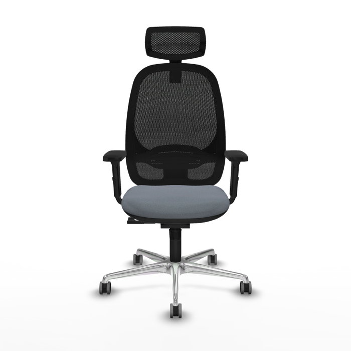 PIQUERAS Y CRESPO Silla de oficina Cilanco con Mecanismo Sincro, Gris y Negro PIQUERAS Y CRESPO Silla de oficina Cilanco con Mecanismo Sincro, Gris y Negro