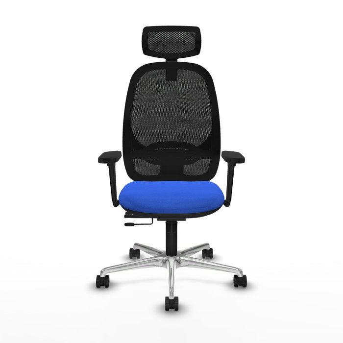PIQUERAS Y CRESPO Silla de oficina Cilanco con mecanismo Sincro/Traslack, Azul y Negro PIQUERAS Y CRESPO Silla de oficina Cilanco con mecanismo Sincro/Traslack, Azul y Negro
