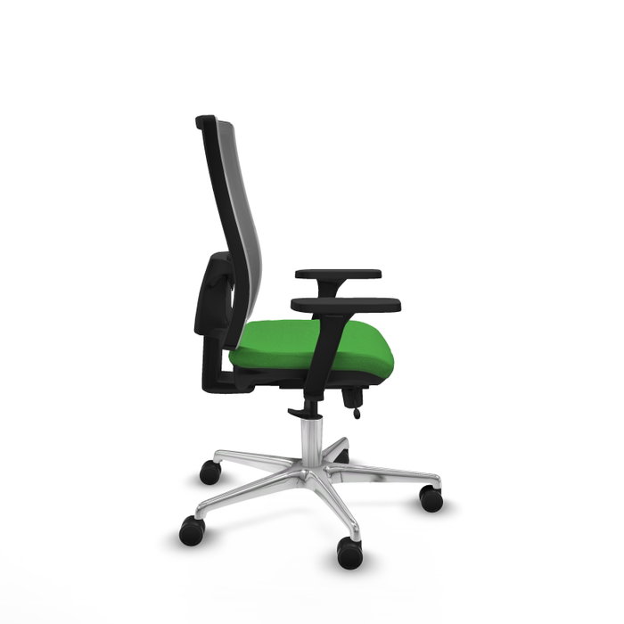 PIQUERAS Y CRESPO Silla de oficina Horna con mecanismo Sincro/Traslack, Verde y Gris PIQUERAS Y CRESPO Silla de oficina Horna con mecanismo Sincro/Traslack, Verde y Gris