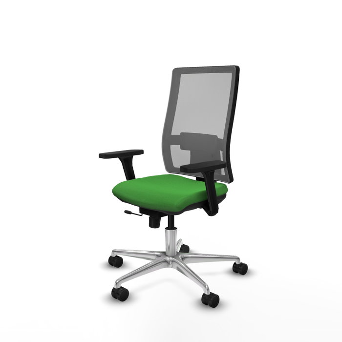 PIQUERAS Y CRESPO Silla de oficina Horna con mecanismo Sincro/Traslack, Verde y Gris PIQUERAS Y CRESPO Silla de oficina Horna con mecanismo Sincro/Traslack, Verde y Gris