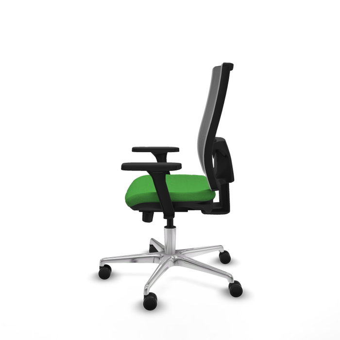 PIQUERAS Y CRESPO Silla de oficina Horna con mecanismo Sincro/Traslack, Verde y Gris PIQUERAS Y CRESPO Silla de oficina Horna con mecanismo Sincro/Traslack, Verde y Gris
