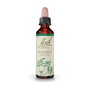 Bach Original Walnut (Nogal) Nº33 20ml