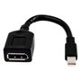 HP Cable adaptador sencillo miniDP a DP Negro