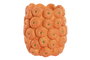 DKD Home Decor Mandarin25 Jarrón Tropical Naranja Cemento 17 x 20 x 17 cm (4 Unidades)