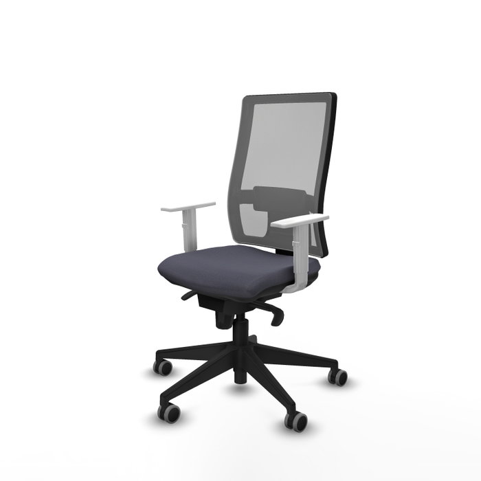 PIQUERAS Y CRESPO Silla de oficina Horna con mecanismo Sincro, Gris PIQUERAS Y CRESPO Silla de oficina Horna con mecanismo Sincro, Gris