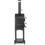 Livoo Horno para Pizza y Tarta Flambeada DOC331