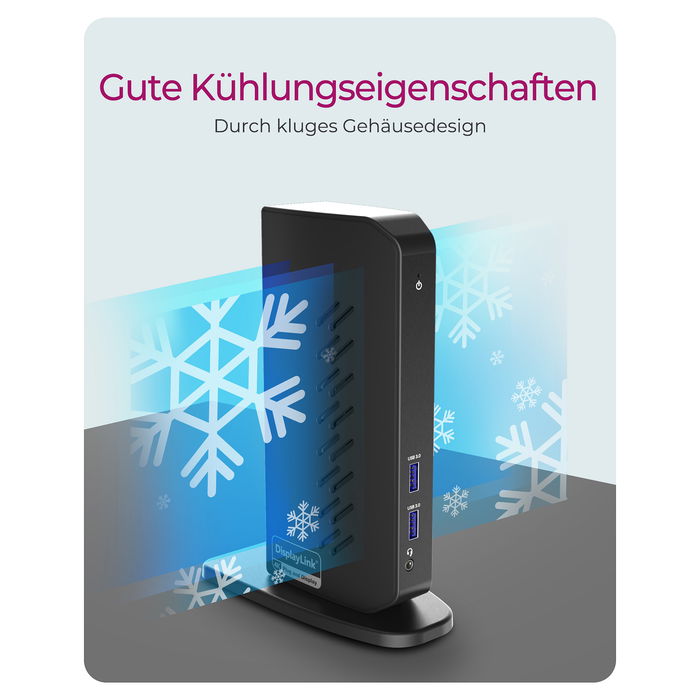 ICY BOX IB-DK2252AC Docking Station Notebook USB 3.2 Gen 1 Type-C, 6x USB-A, 2x HDMI, Ethernet, 4K Ultra HD