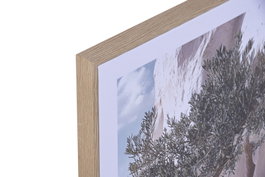 DKD Home Decor Cuadro Lienzo Jarrones Olivo 45x60 cm