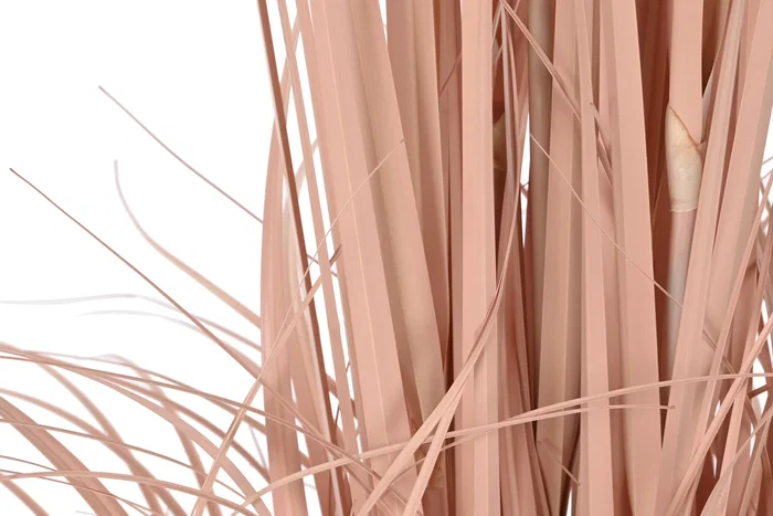 DKD Home Decor Planta de PE y PVC Plumero Coral 45x45x150 cm